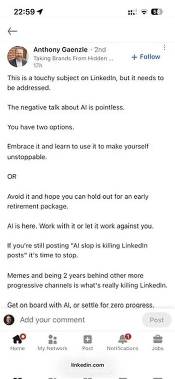 Judgement or theatre: the false AI-adoption binary (blurred screenshots, evergreen). Give daylight from the practitioner pair. — image 2